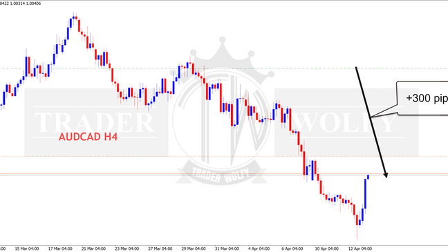 AUDCAD +300 pips