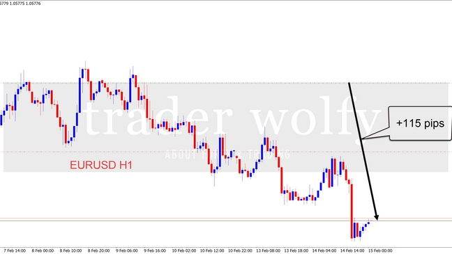 EURUSD +115 pip