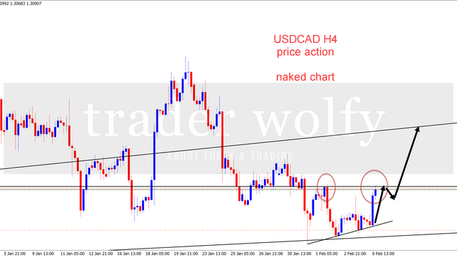 USDCAD buy on naked chart with price action