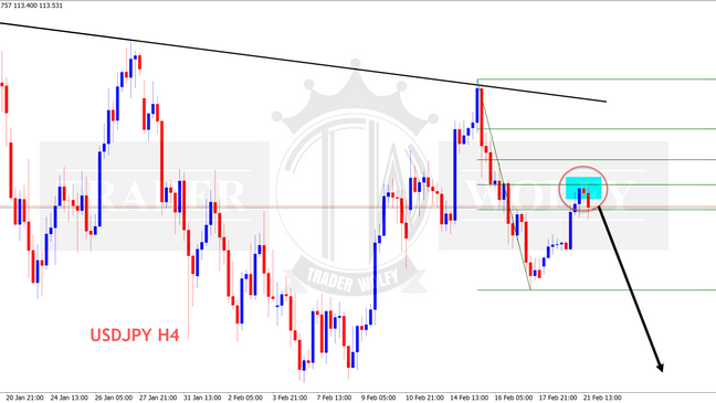 USDJPY my expectation