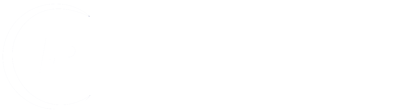 Paradigm Services Logo White.png