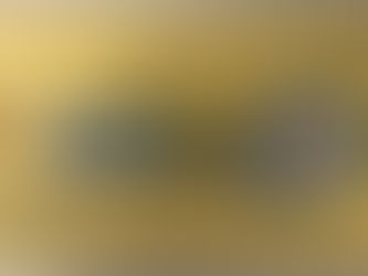 モンタニェ便り✉年会費請求の発送1