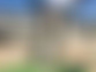 大道芸人 ジャグラー