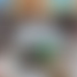 Tournoi amical 2025 à BEYNOST