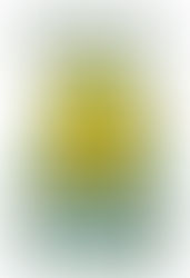 Nouveau club à Villars les Dombes dans l'Ain