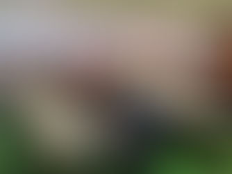 Simultané Mondial du samedi 10 janvier ! Rémy Poulat en tête !