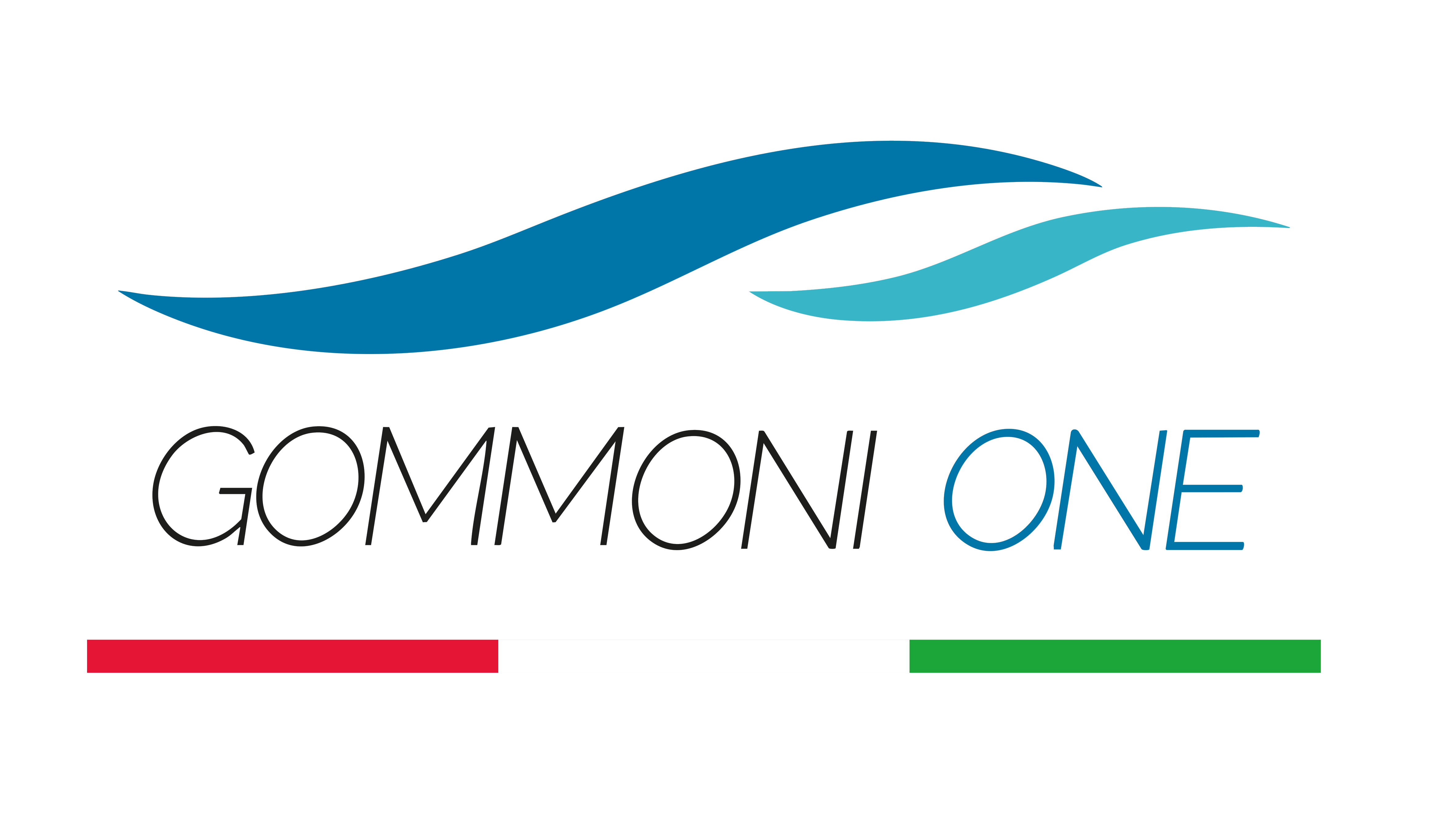logo Gommoni one.png