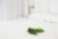 Home Service Cleaning Ras Al Khaimah