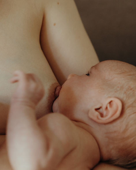 Ein Säugling trinkt an der Brust. Wochenbettreportagen in Hamburg
