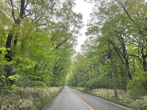 うれしはずかし