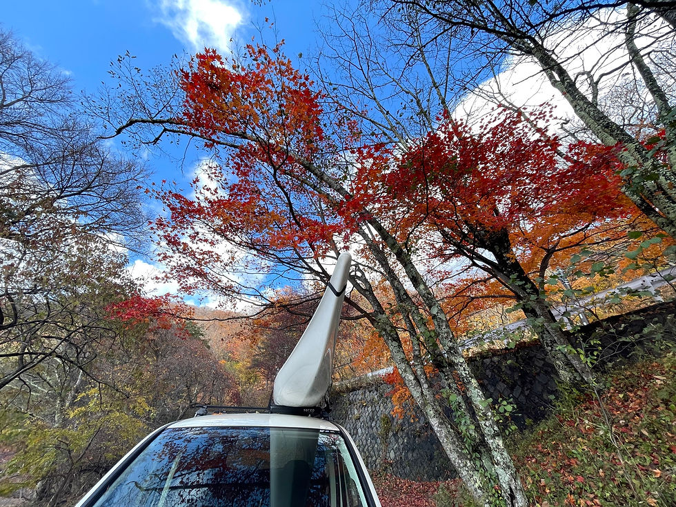 カヤックと紅葉