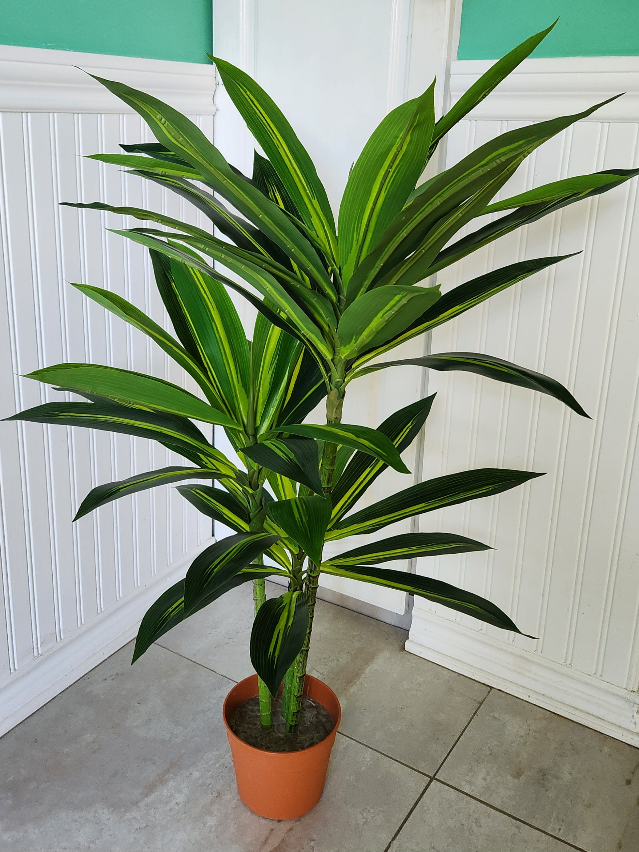 PALO DE AGUA 3 VARAS