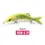 Thumbnail: Realistic crankbait