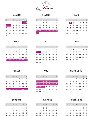 Calendrier congés 2027.jpg