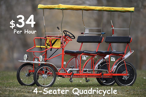 4-Seater.jpeg