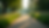 Eye-level view of a tranquil waterfront path surrounded by greenery