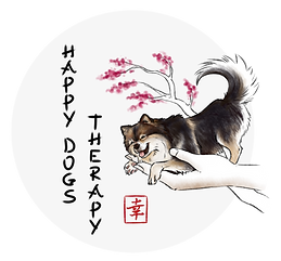 Happy Dog Therapy éducation chien