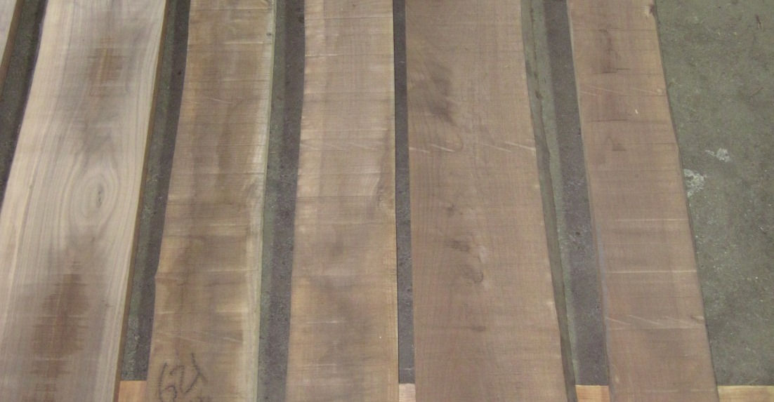 Photo #1 (262ab5ef-4a02-4a07-8b70-4bb0d7ebee7f)