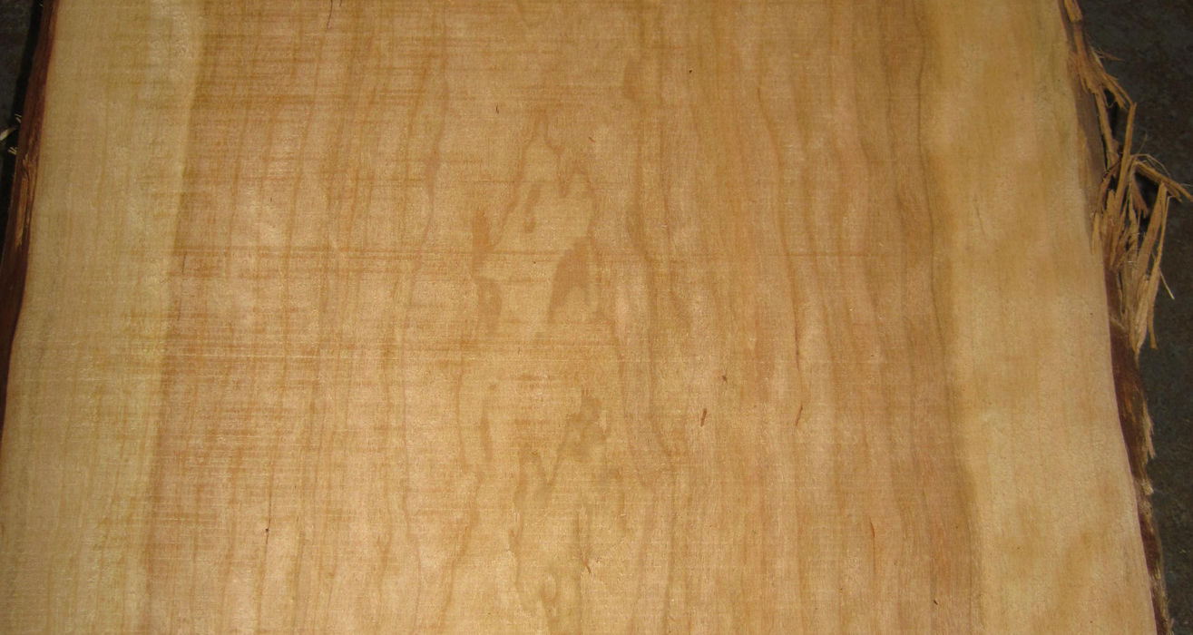 Photo #4 (44448cdf-2cd0-456a-ae3b-533c1037ae14)