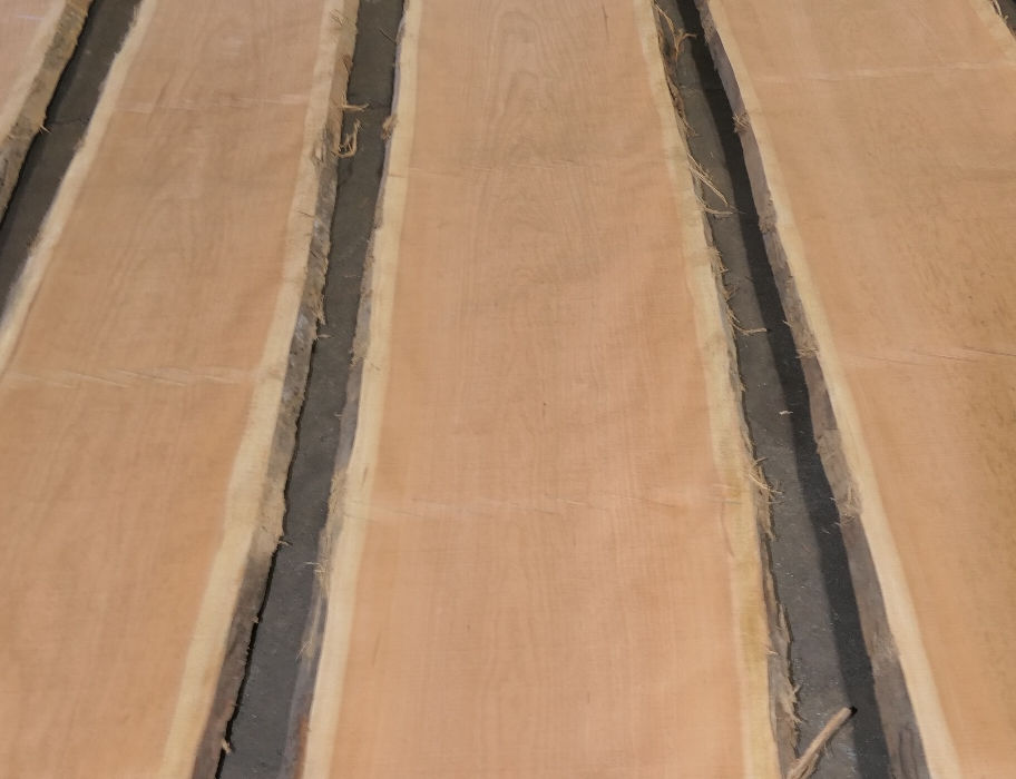 Photo #7 (77a72de6-81ca-4a25-9dcb-1ae20a2c6055)