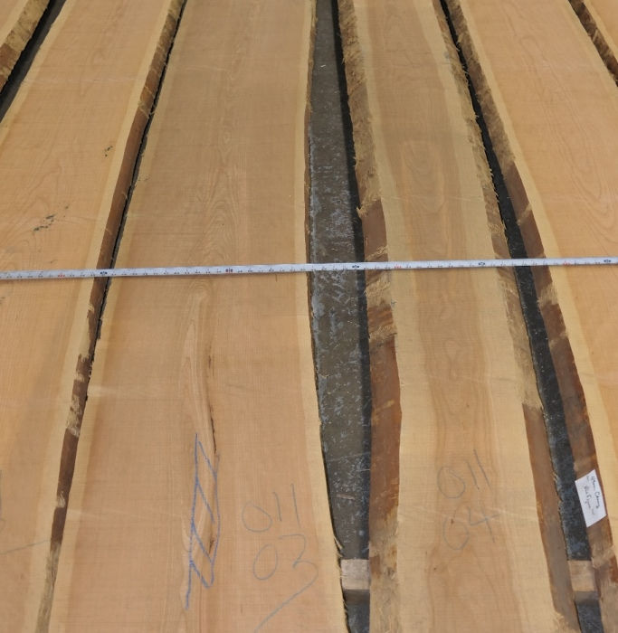 Photo #1 (518c877e-f340-4dce-bd89-cdcf9b85045c)