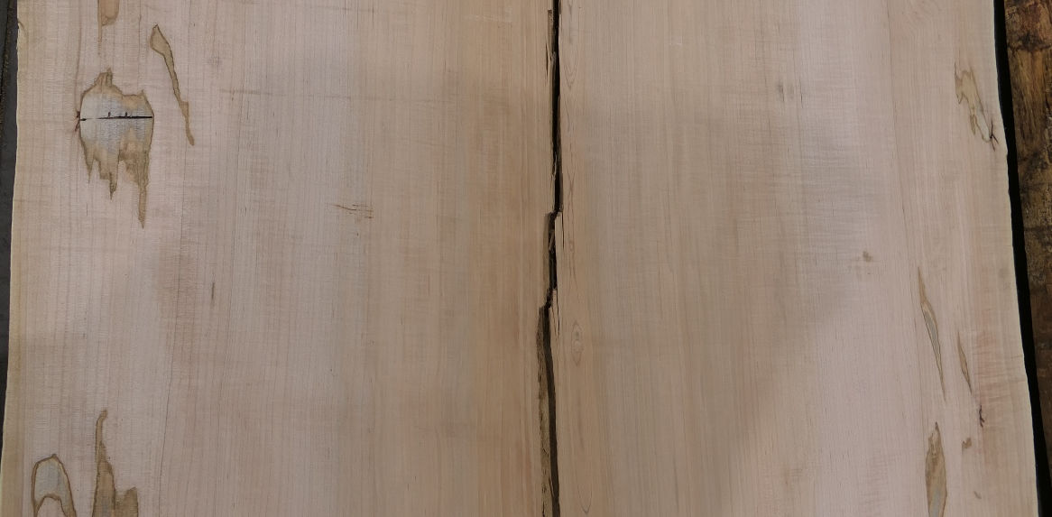 Photo #7 (71125e3f-9ef5-40bf-bbef-c9b3e85e2420)