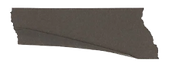 image-removebg-preview (4).png