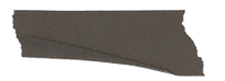 image-removebg-preview (4).png