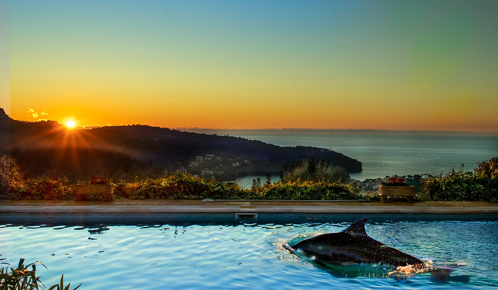 sunset_pool_Dolphine.jpg