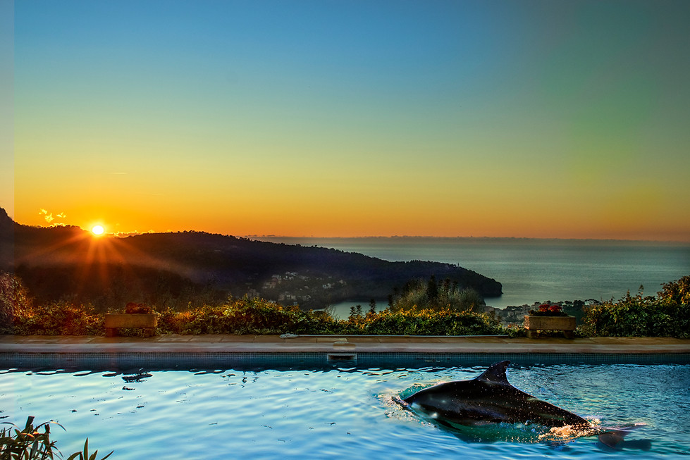sunset_pool_Dolphine.jpg