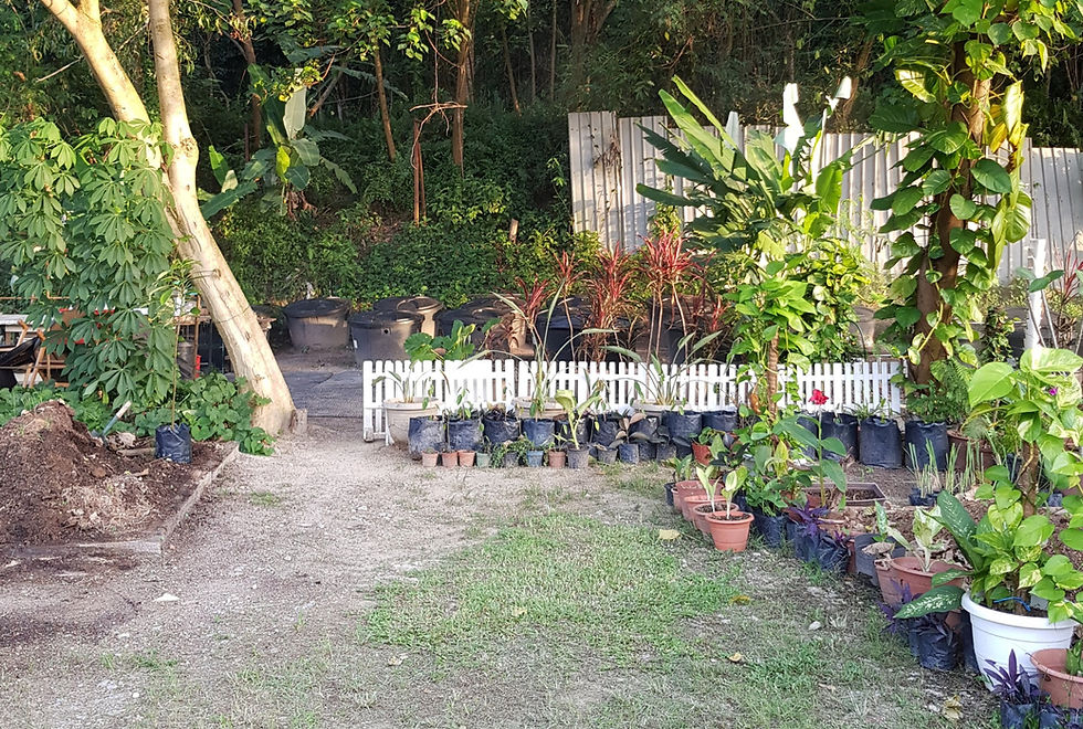 Community EcoGarden