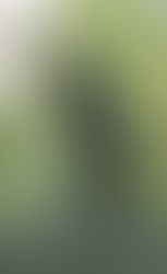 Baddies Golf Club | Spotlight On: Yeojin Lee 🏌️♀️⛳