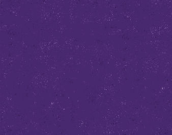 BEETLEJUICE JR_XA BG_PURPLE.jpg