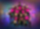 Primary_Tag.png