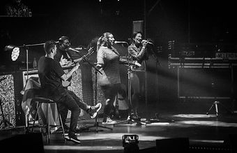 DSC_0428-min.jpg