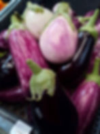 Aubergine