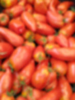 Tomates cornues