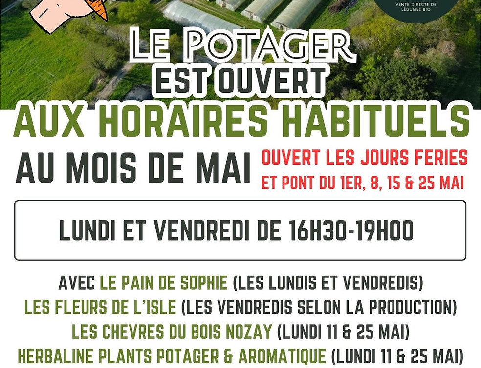 Post Instagram minimaliste de légumes de mars aux couleurs douces (5).jpg