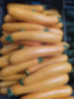 Courgette jaune
