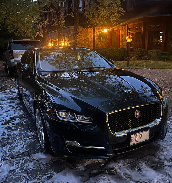 Jaguar Exterior Detail