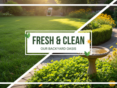 Effective Solutions for Pet Waste Management Services in Phoenix
