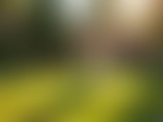 Why Fresh Yard is the Best Choice for Poop Scooping Services in Phoenix AZ