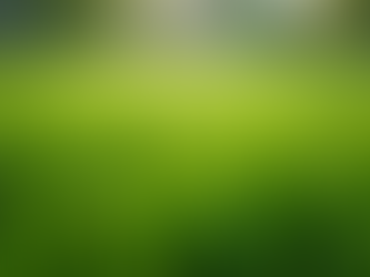 The Secret Weapon for a Lush and Healthy Lawn: The Surprising Benefits of Regular Poop Scooping