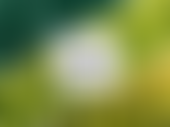 Effective Methods to Clean Artificial Grass from Dog Pee