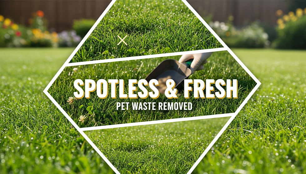 Professional Pet Waste Removal in Peoria AZ