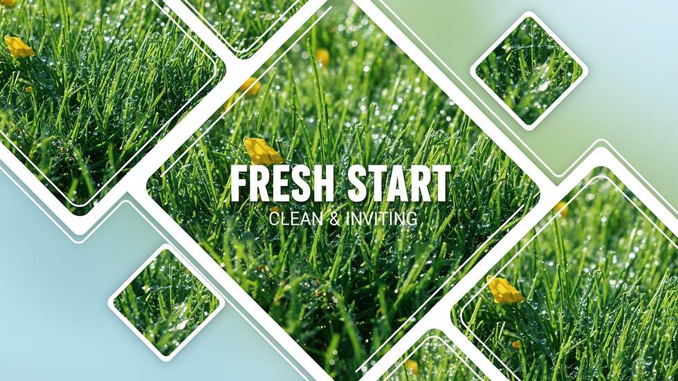 Cleaning Solutions for Dog Pee on Fake Grass: Say Goodbye to Lingering Odors