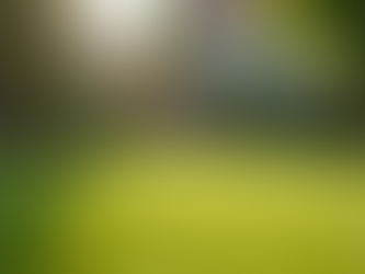 Enhancing Your Backyard Experience: The Benefits of Professional Dog Poop Scooping Services in Phoenix AZ