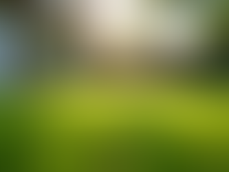 Pet Waste Removal Services