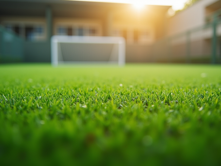 Ensure a Fresh and Inviting Lawn Year-Round with Professional Artificial Turf Deodorizing Services