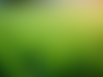 Artificial Grass Cleaning and Deodorizing Service